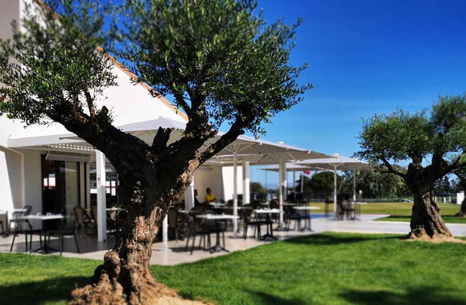 Pergola Parasol Abris piscine - golf saint cyprien, pergola BIOSSUN, parasols IASO, aménagement de terrasse extérieur professionnels restauration bar restaurant - Art et créations Perpignan